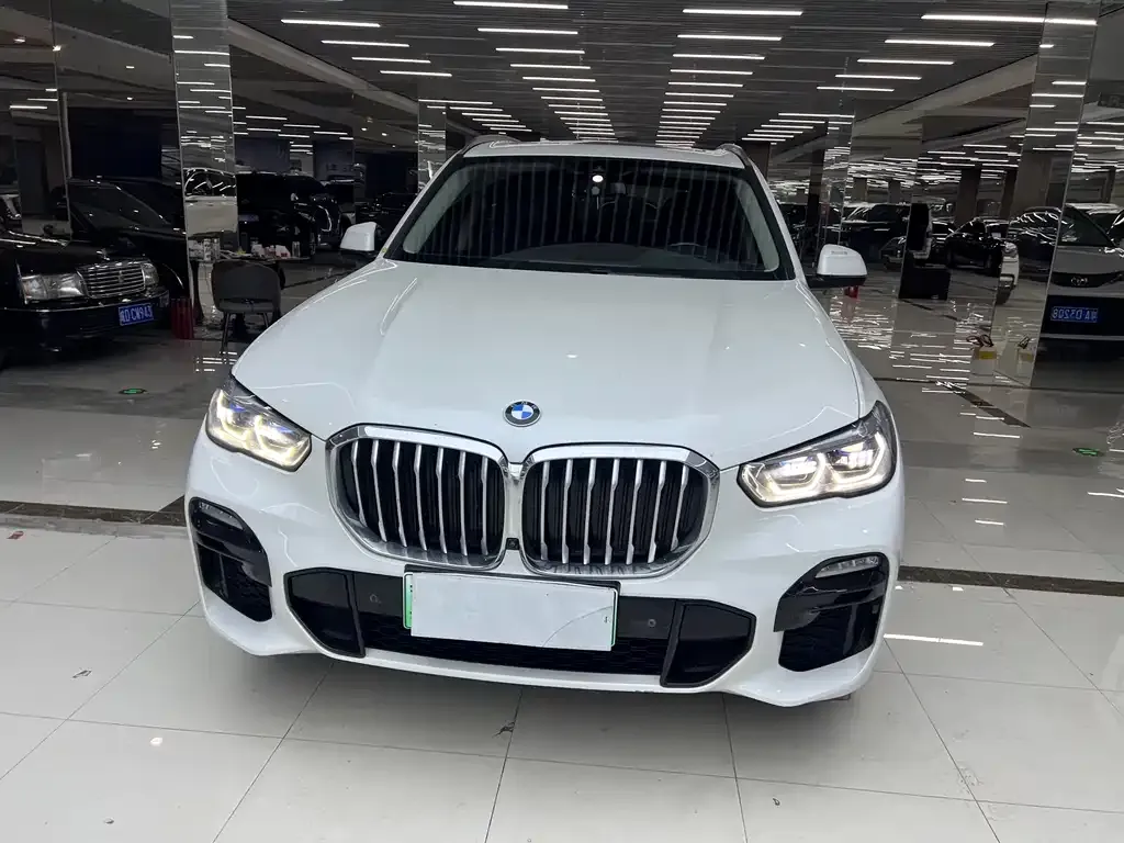 BMW X5 New Energy (Import) — фото 2