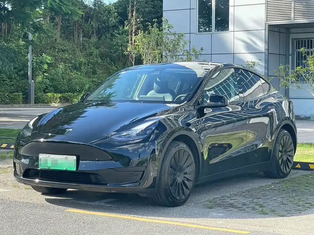 Tesla Model Y — фото 1
