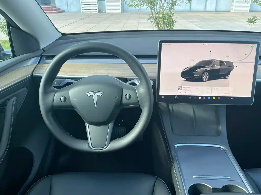 Tesla Model Y — фото 10