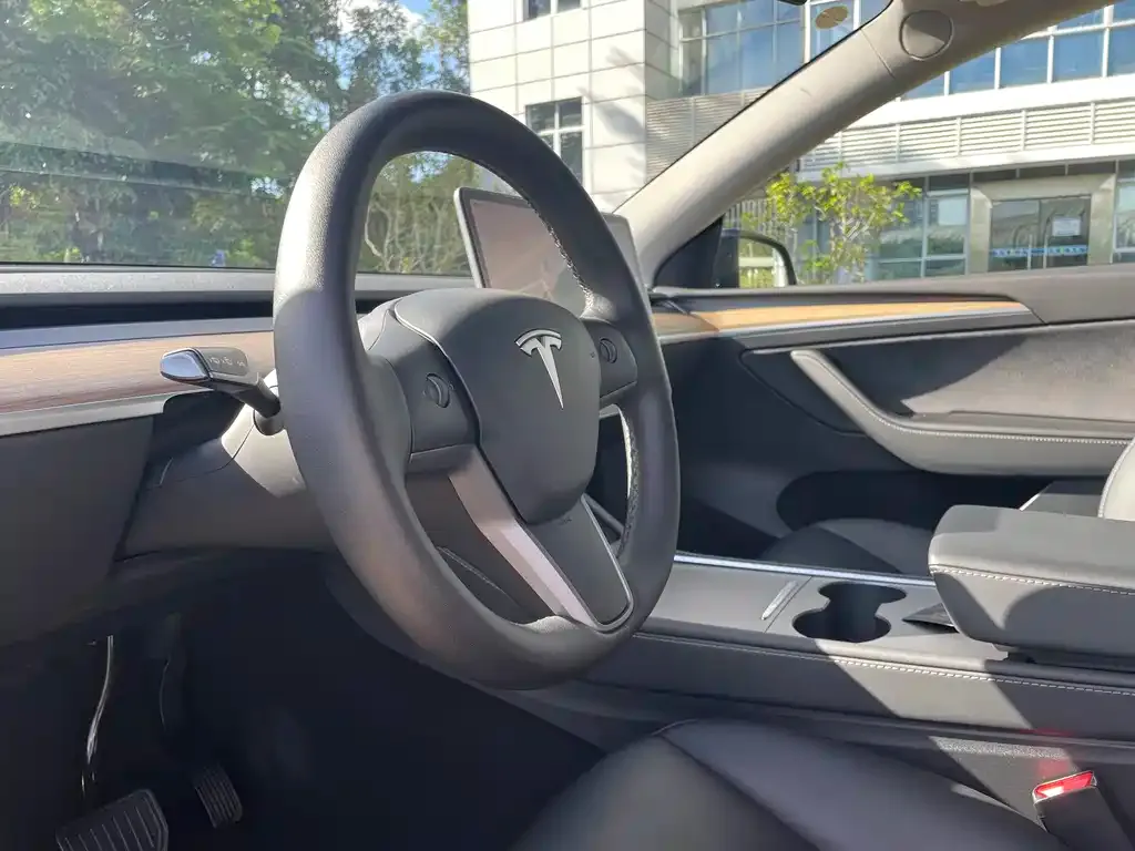 Tesla Model Y — фото 8