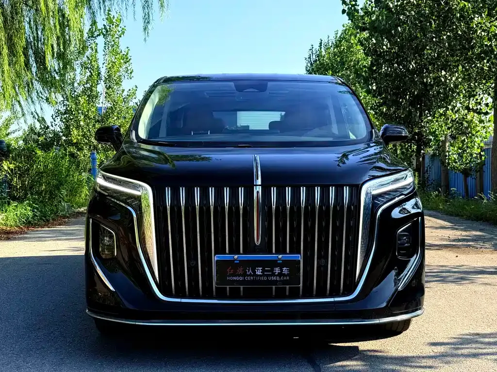 Hongqi HQ9 — фото 8