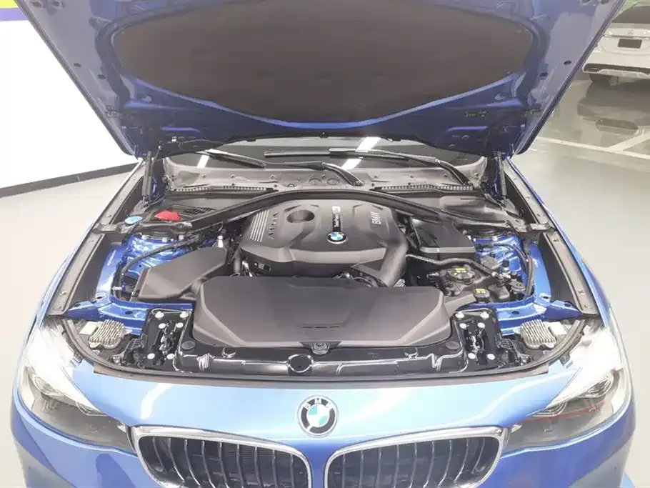 BMW 3 Series GT — фото 10