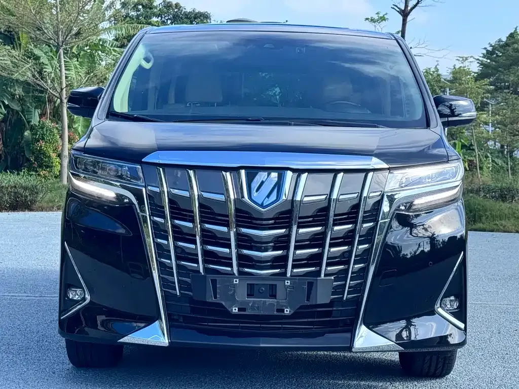 Toyota Alphard — фото 2