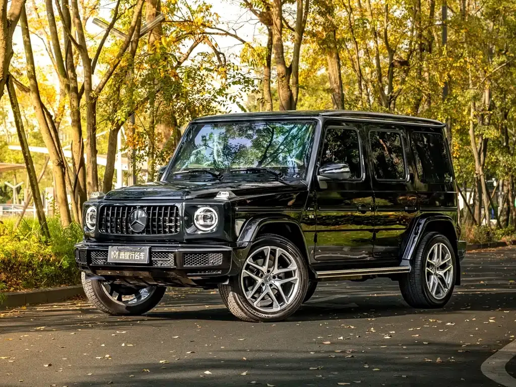 Mercedes-Benz G-Class — фото 1