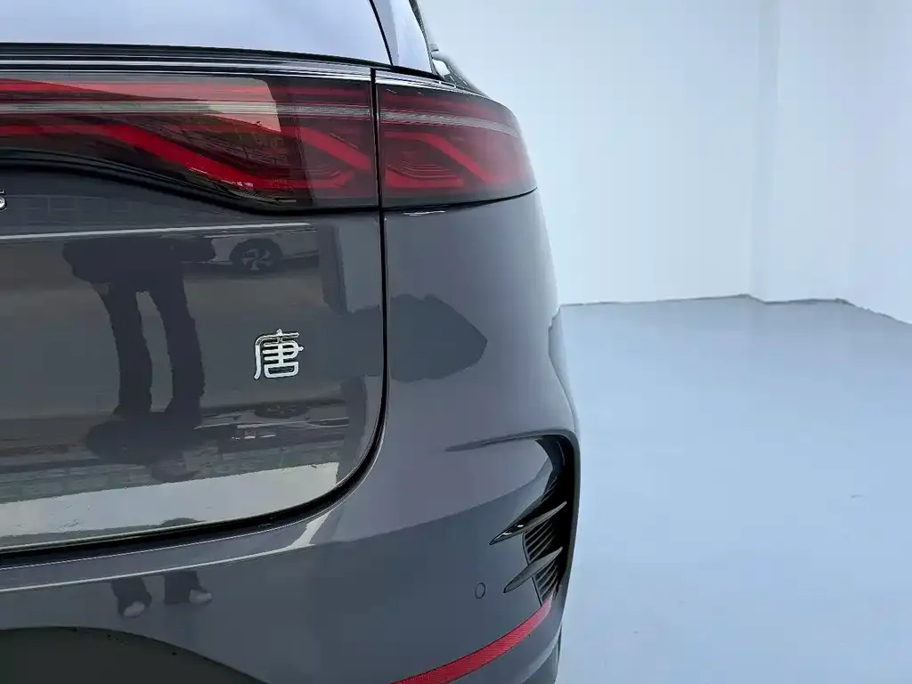 BYD Tang New Energy — фото 10