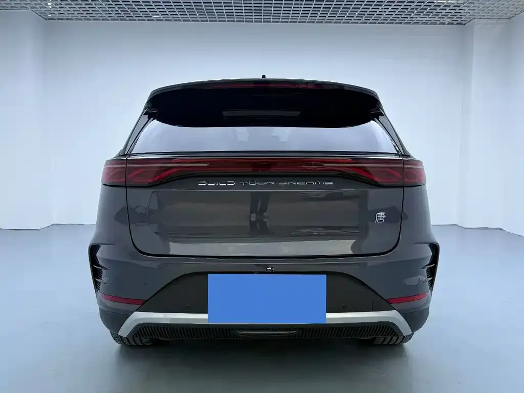 BYD Tang New Energy — фото 5