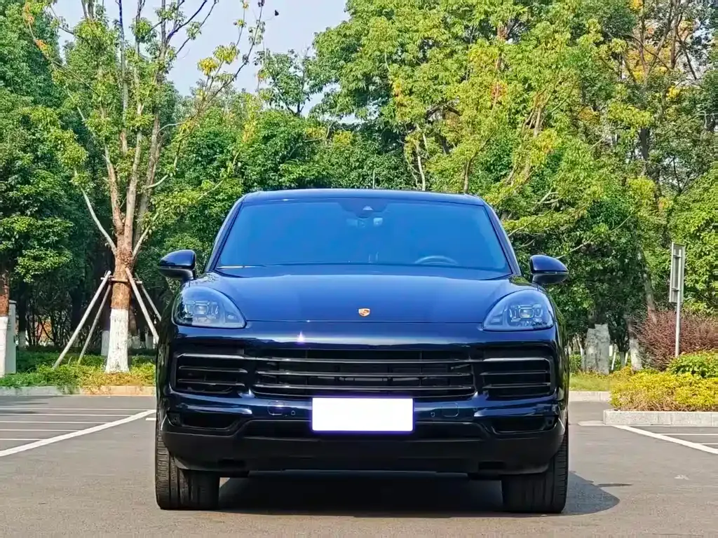 Porsche Cayenne — фото 1