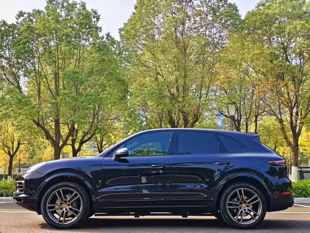 Porsche Cayenne — фото 3