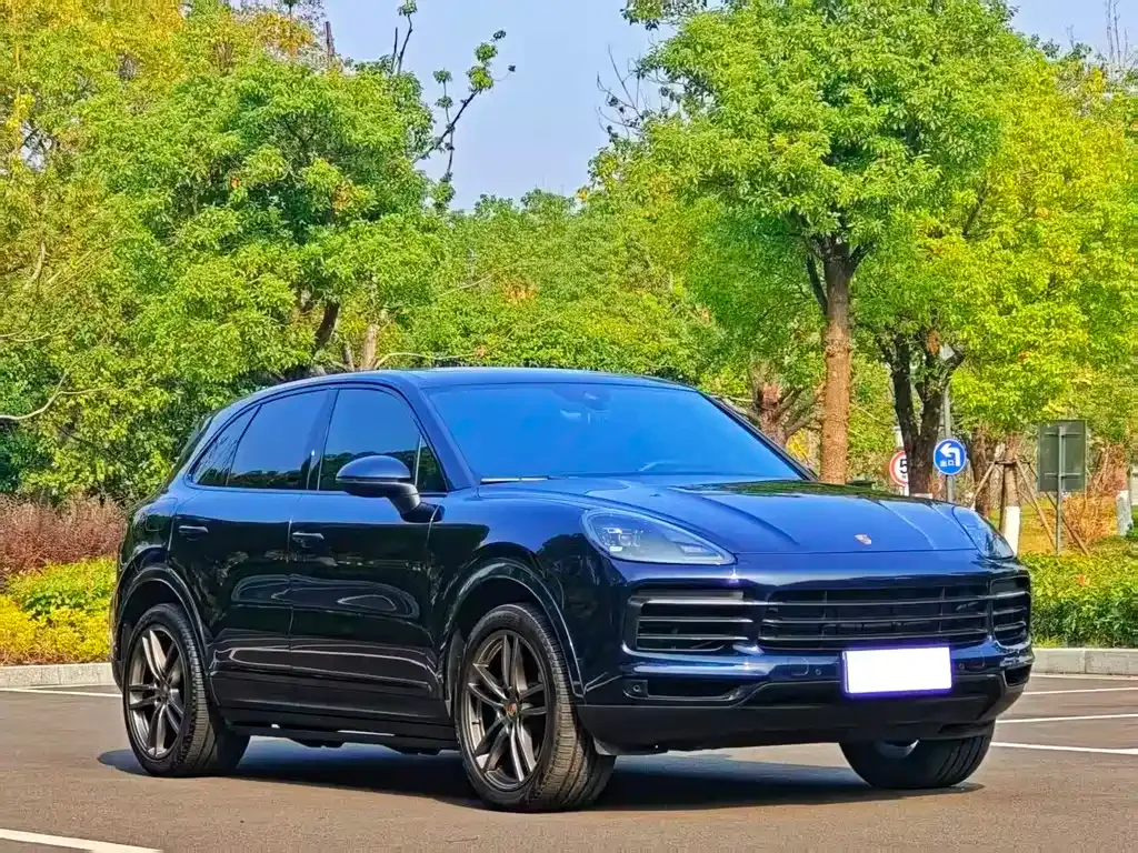Porsche Cayenne — фото 8