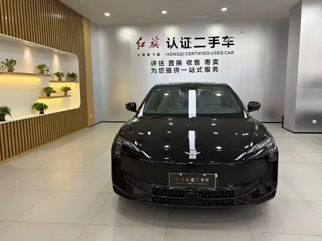 Hongqi EH7 — фото 2