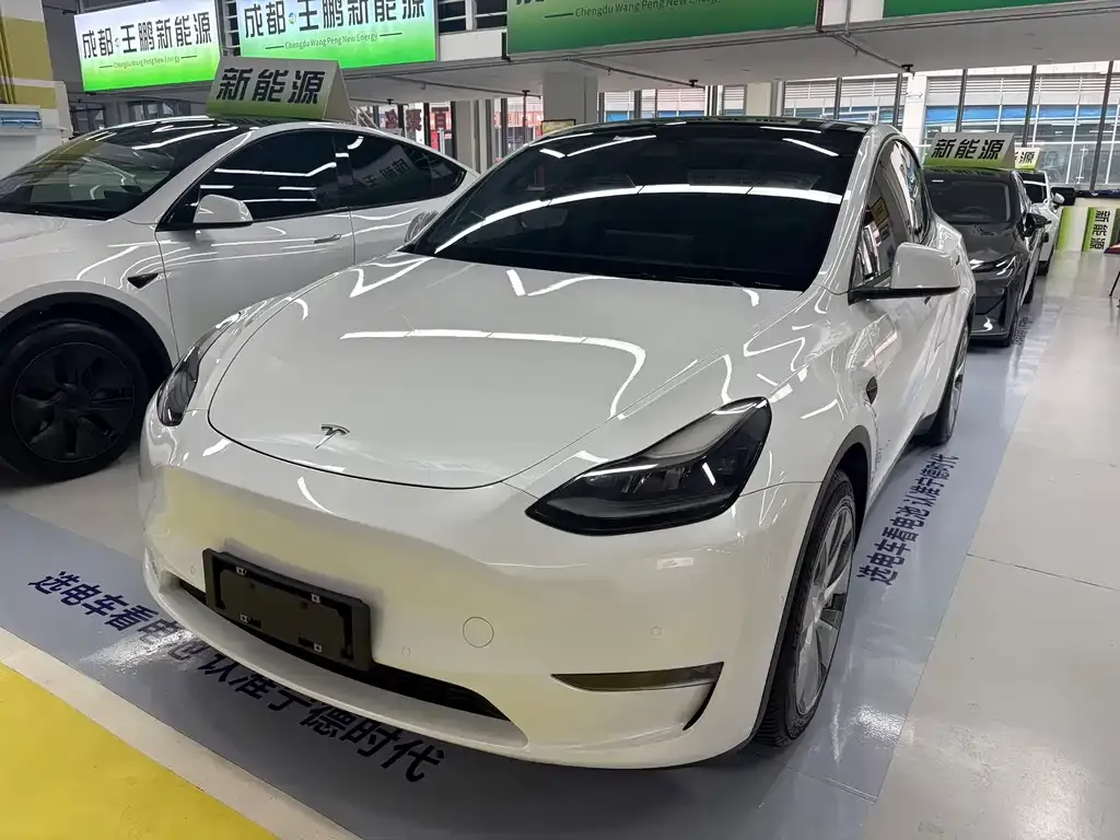 Tesla Model Y — фото 1