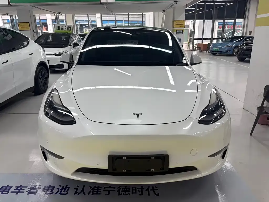 Tesla Model Y — фото 2