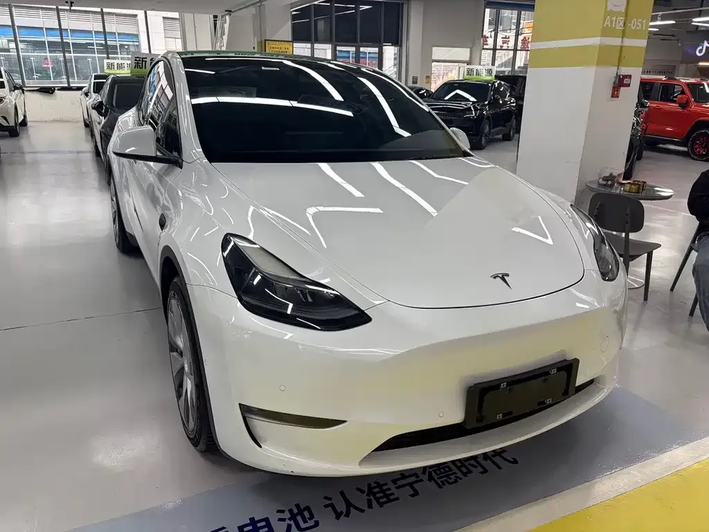 Tesla Model Y — фото 3