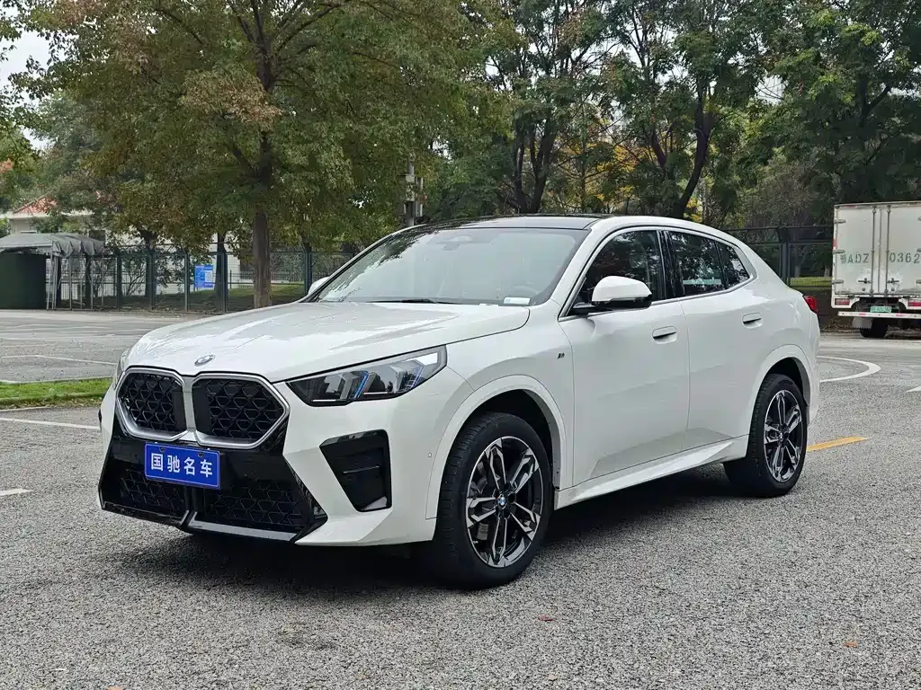 BMW X2 (Import) — фото 1
