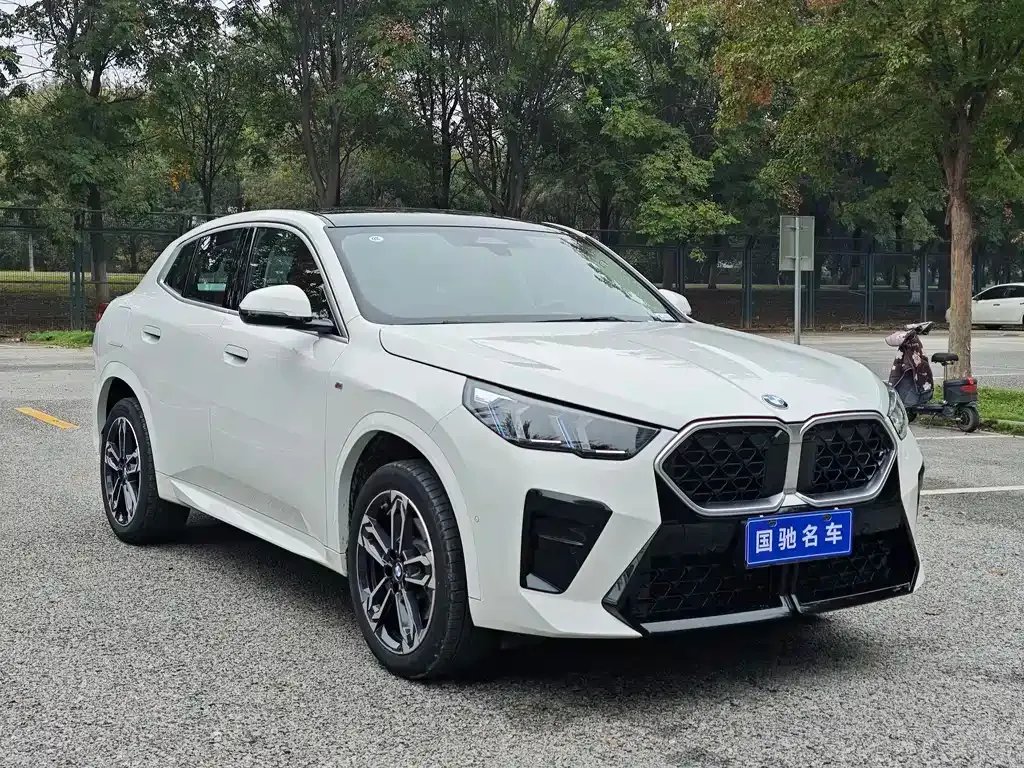 BMW X2 (Import) — фото 3