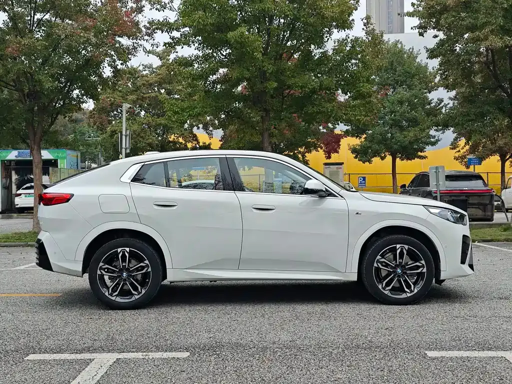 BMW X2 (Import) — фото 4