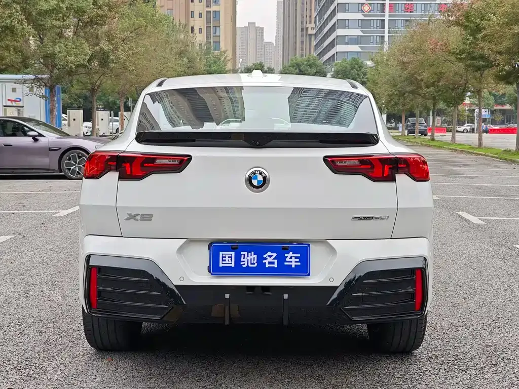 BMW X2 (Import) — фото 6