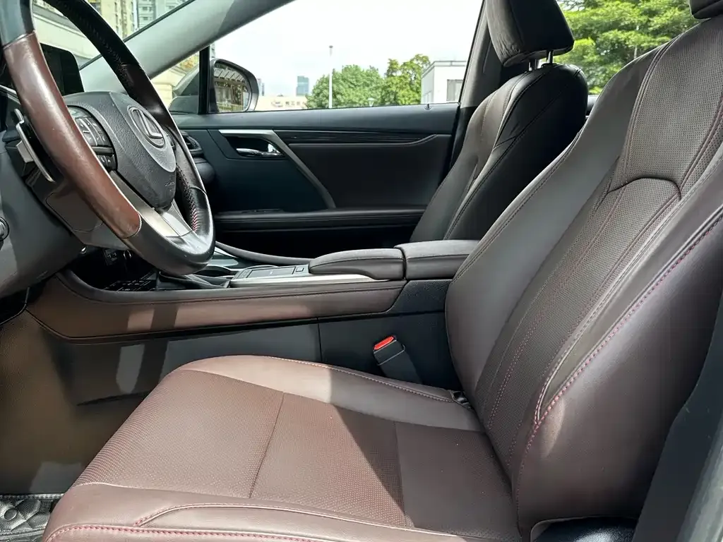 Lexus RX — фото 10
