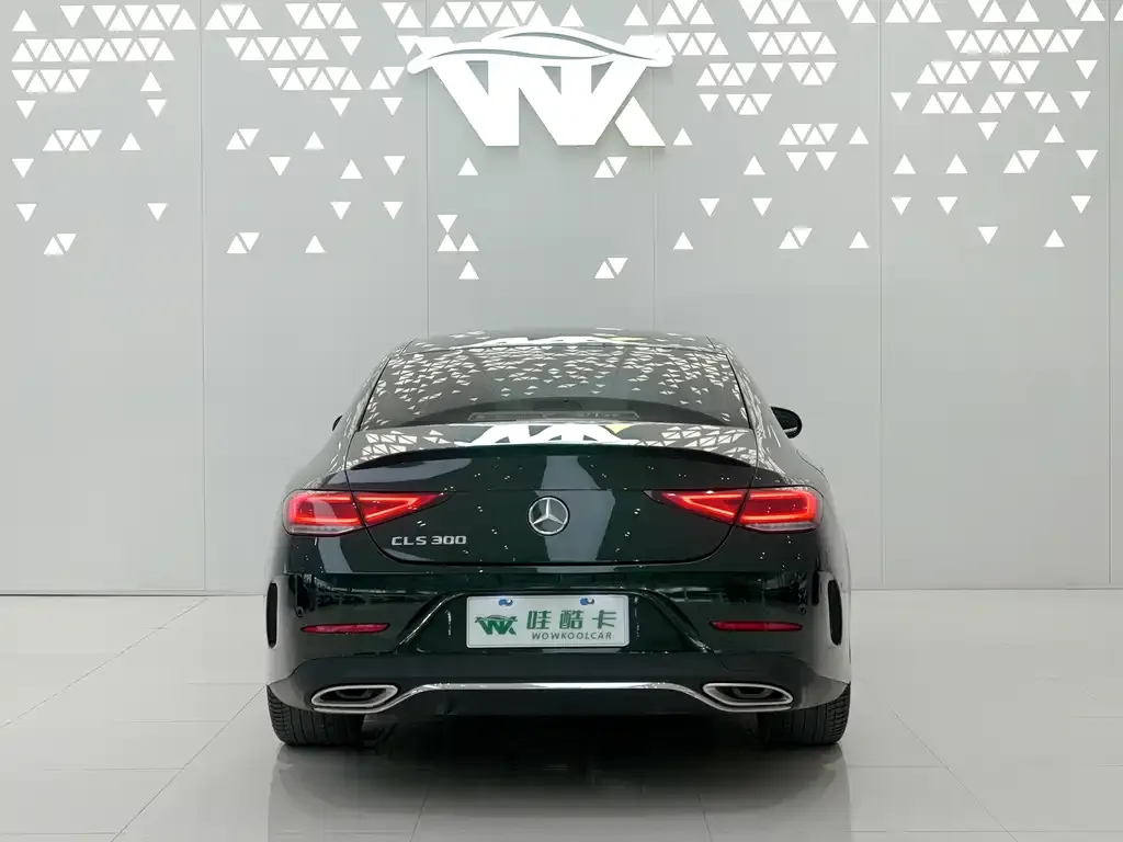 Mercedes-Benz CLS — фото 5