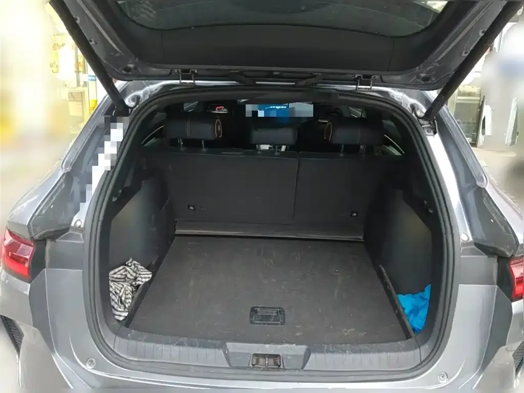 BYD PLUS New Energy — фото 10