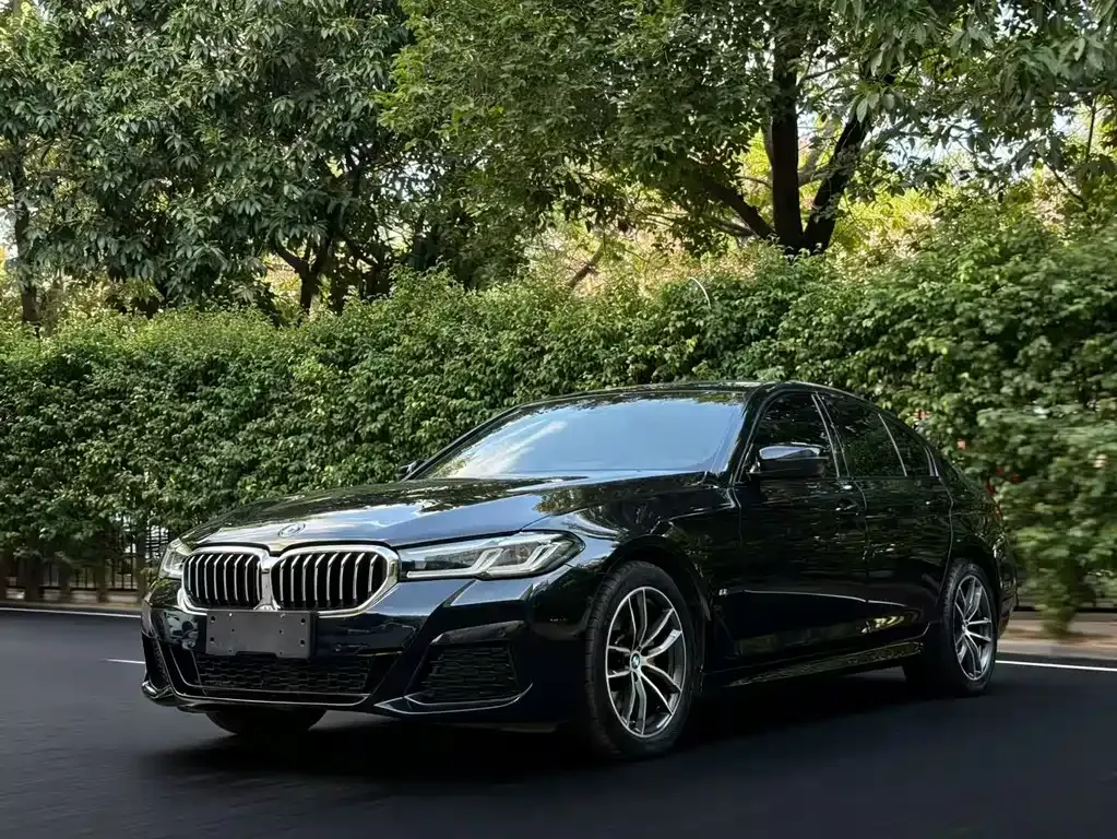 BMW 5 Series (Import) — фото 1