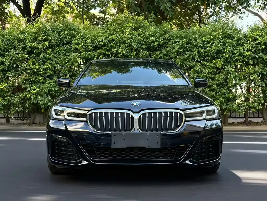 BMW 5 Series (Import) — фото 3