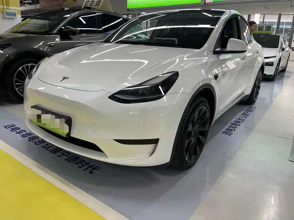 Tesla Model Y — фото 1