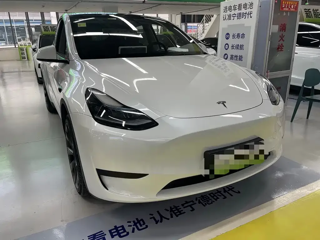 Tesla Model Y — фото 2