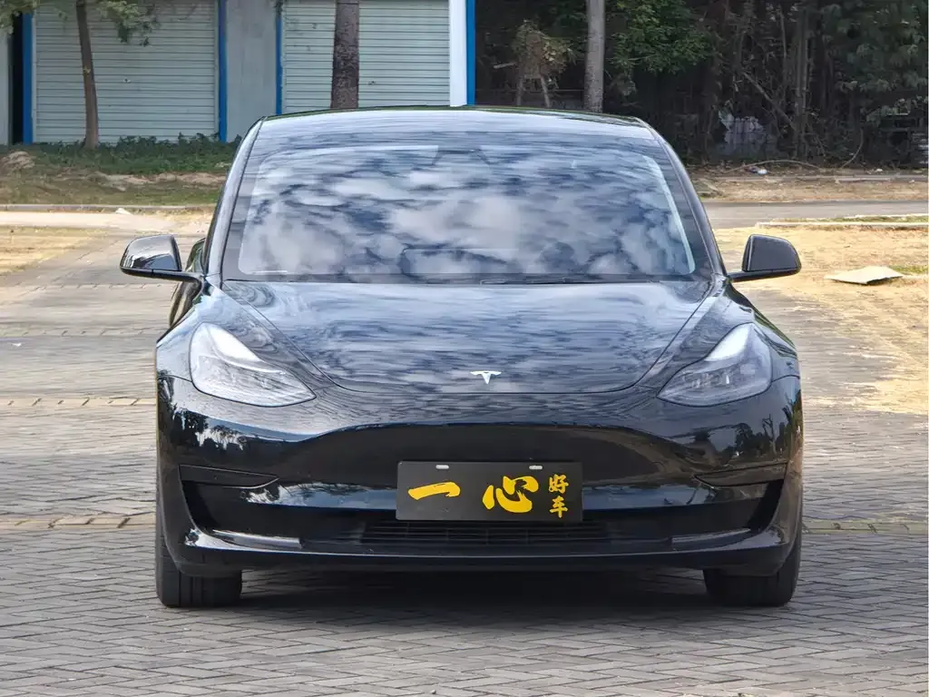 Tesla Model 3 — фото 2