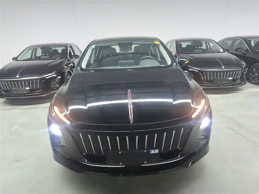 Hongqi E-QM5 — фото 3