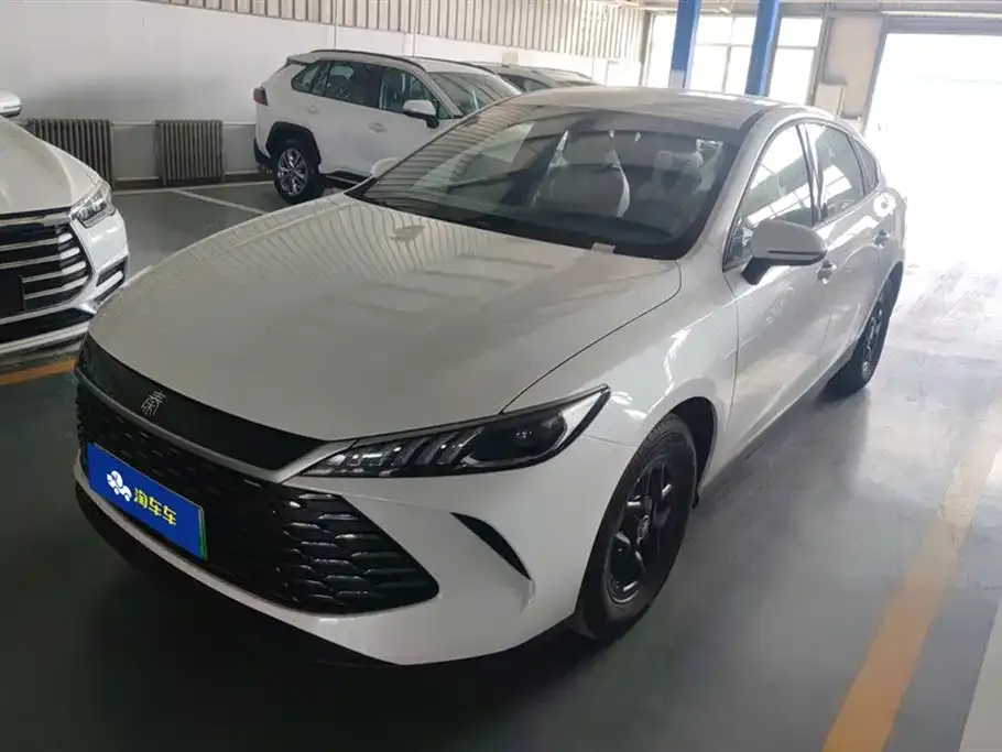 BYD Qin PLUS — фото 1