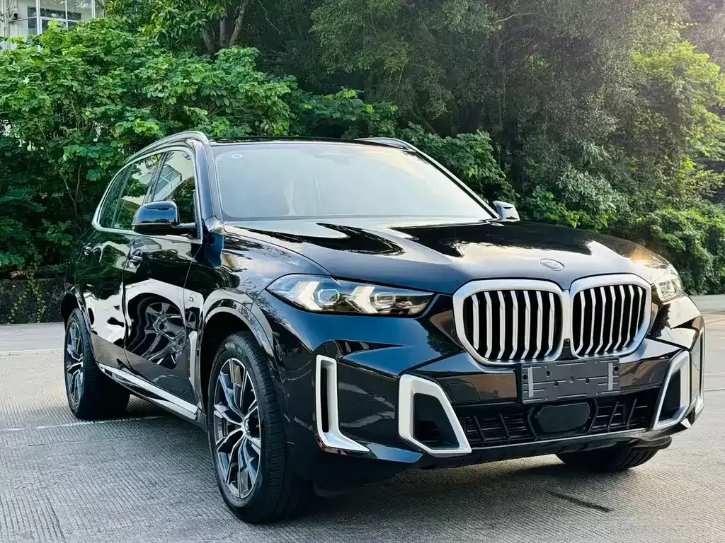 BMW X5 — фото 2