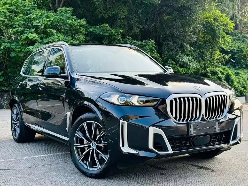 BMW X5 — фото 4