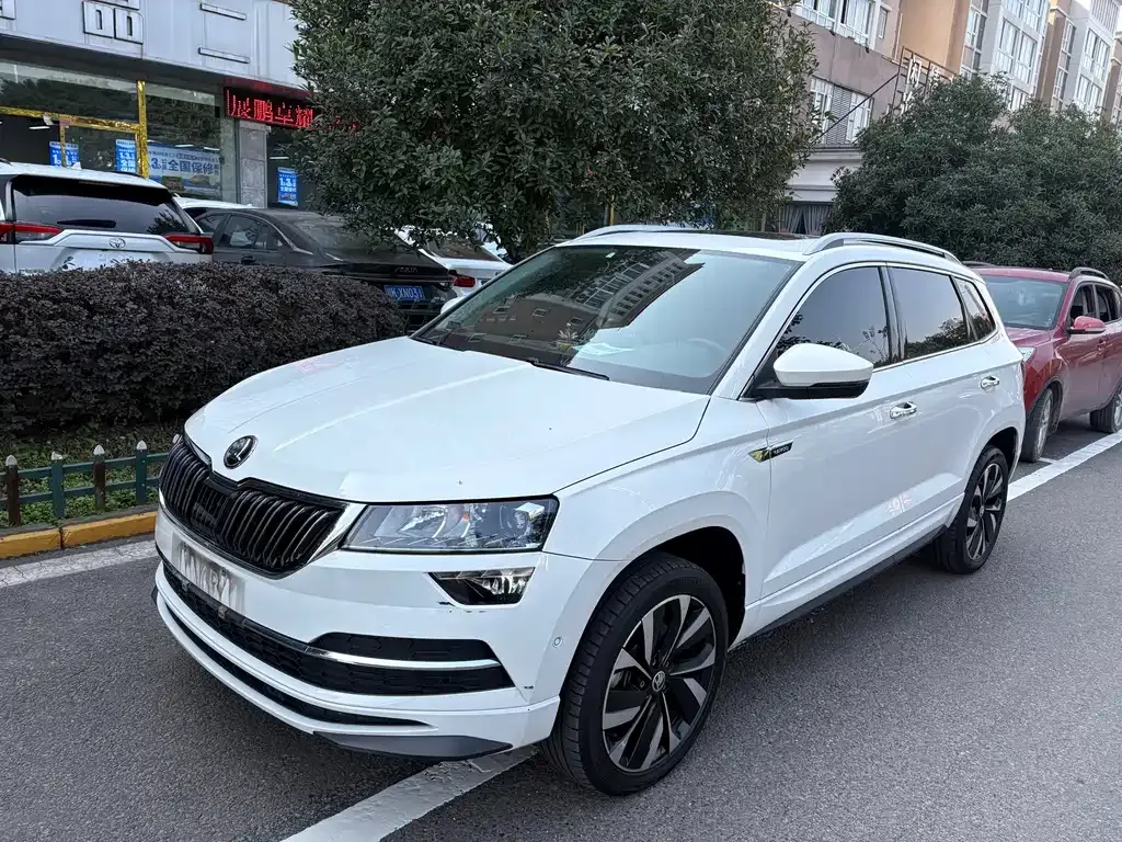 Skoda Karoq — фото 1