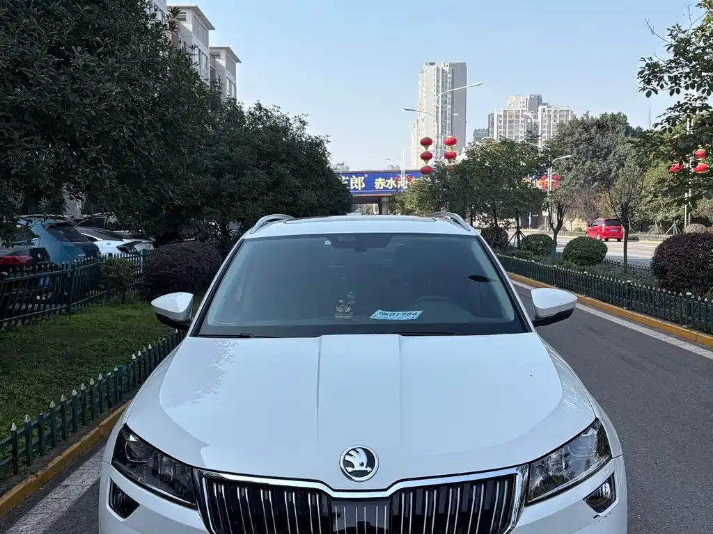 Skoda Karoq — фото 2