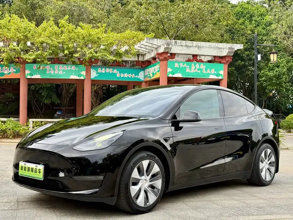 Tesla Model Y — фото 1