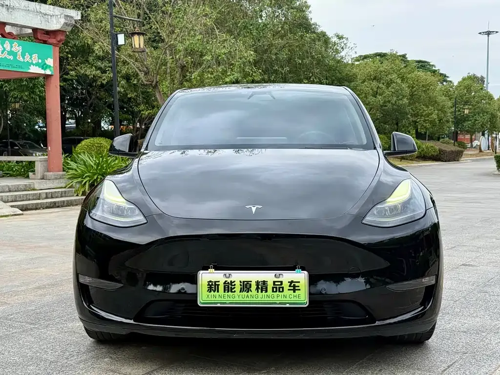 Tesla Model Y — фото 2