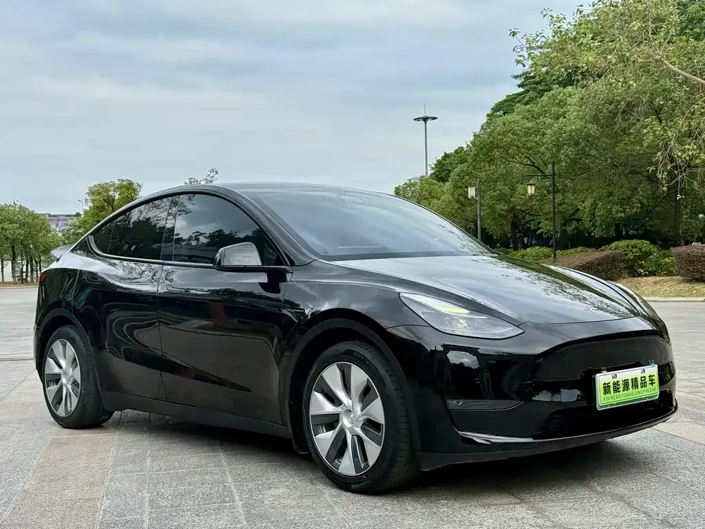 Tesla Model Y — фото 3