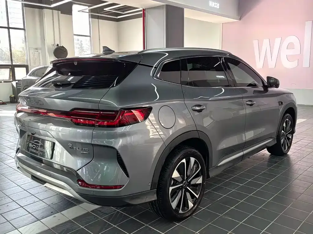 BYD PLUS New Energy — фото 9