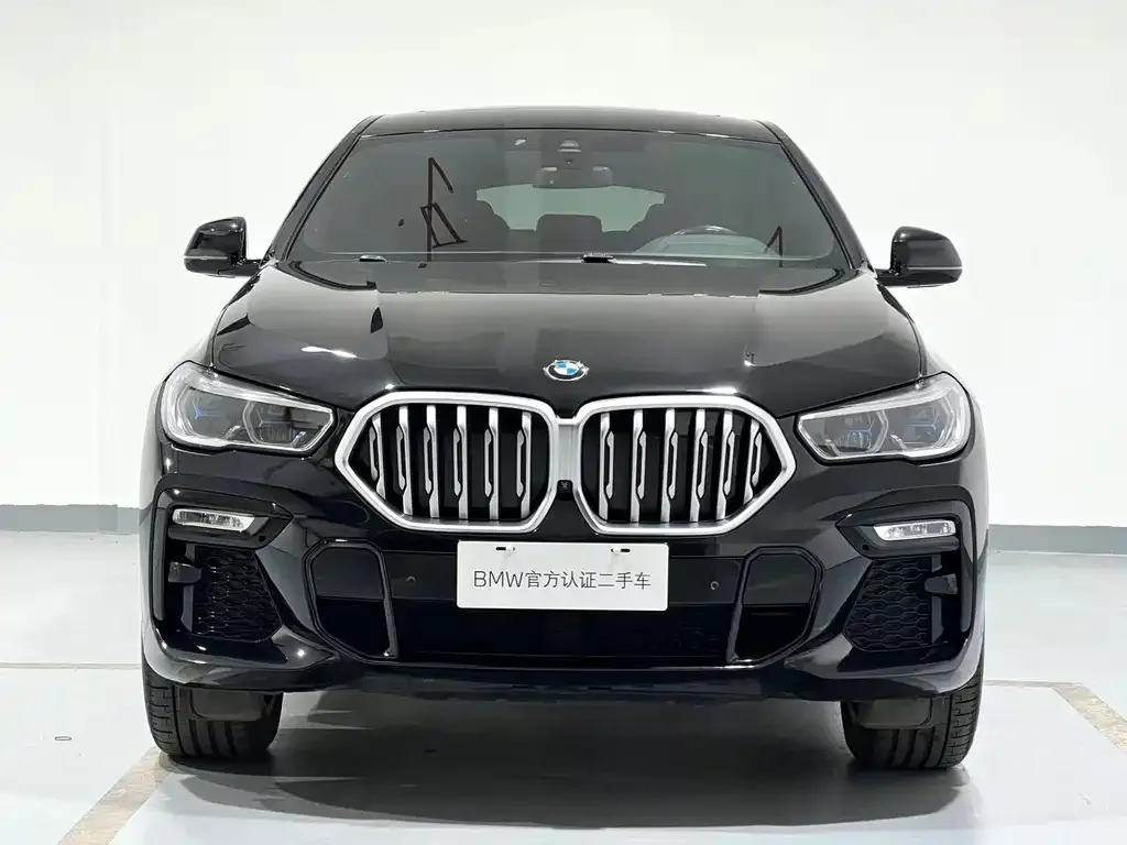 BMW X6 — фото 2