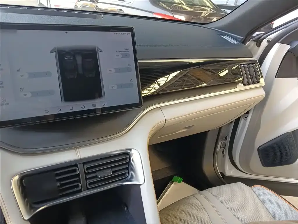 BYD PLUS New Energy — фото 10