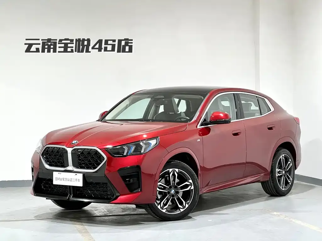 BMW X2 (Import) — фото 1
