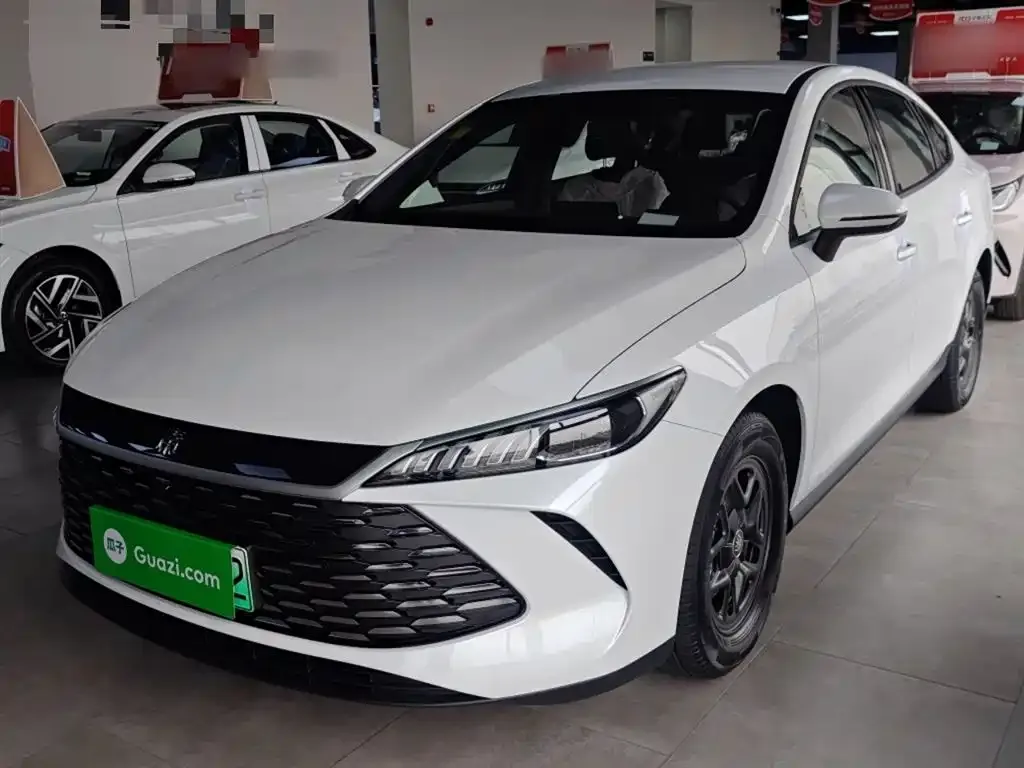 BYD Qin PLUS — фото 1