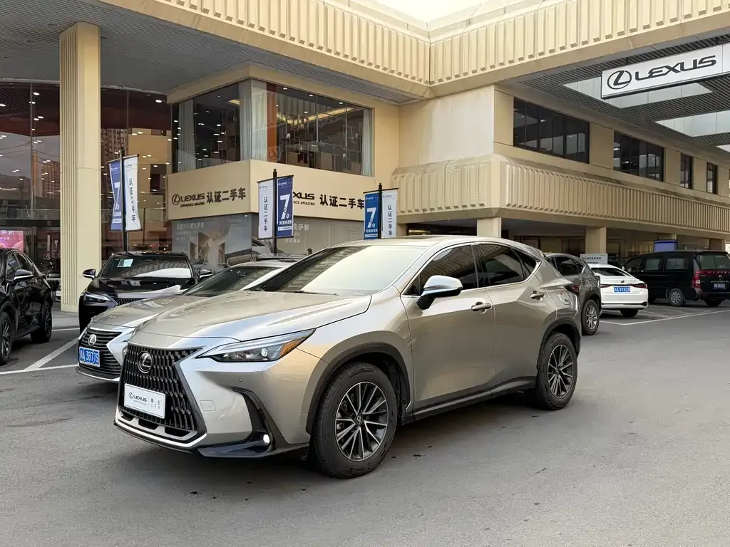 Lexus NX New Energy — фото 1