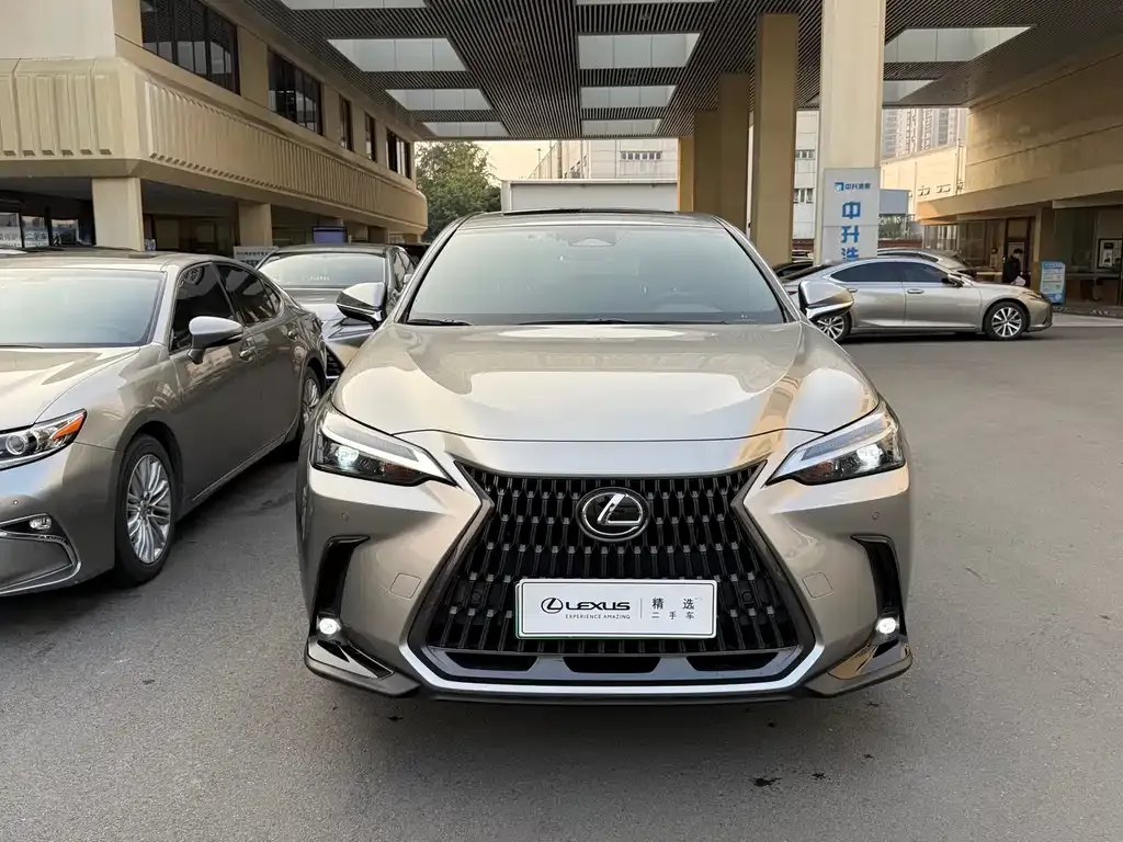 Lexus NX New Energy — фото 2