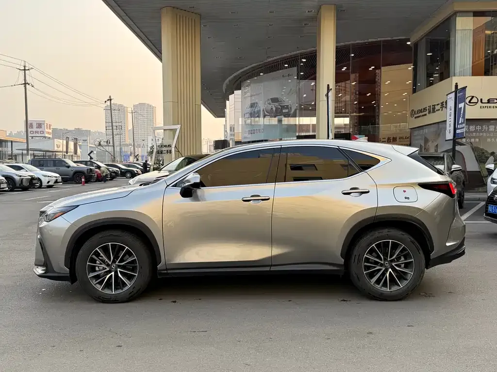 Lexus NX New Energy — фото 7