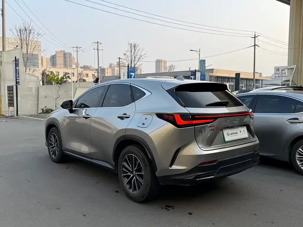 Lexus NX New Energy — фото 8