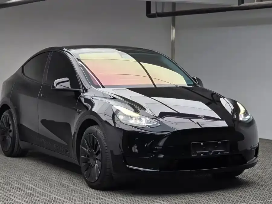 Tesla Model Y — фото 2