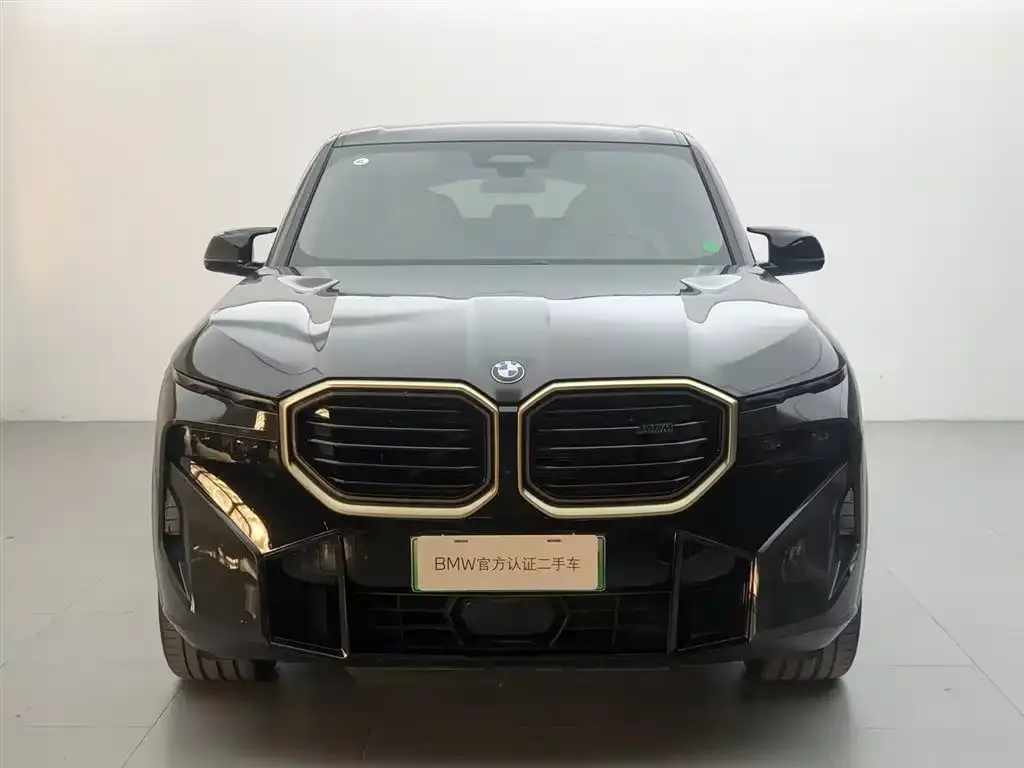 BMW XM — фото 2