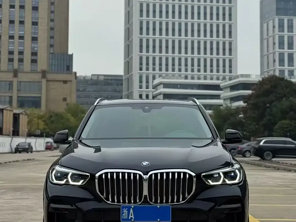 BMW X5 (Import) — фото 1